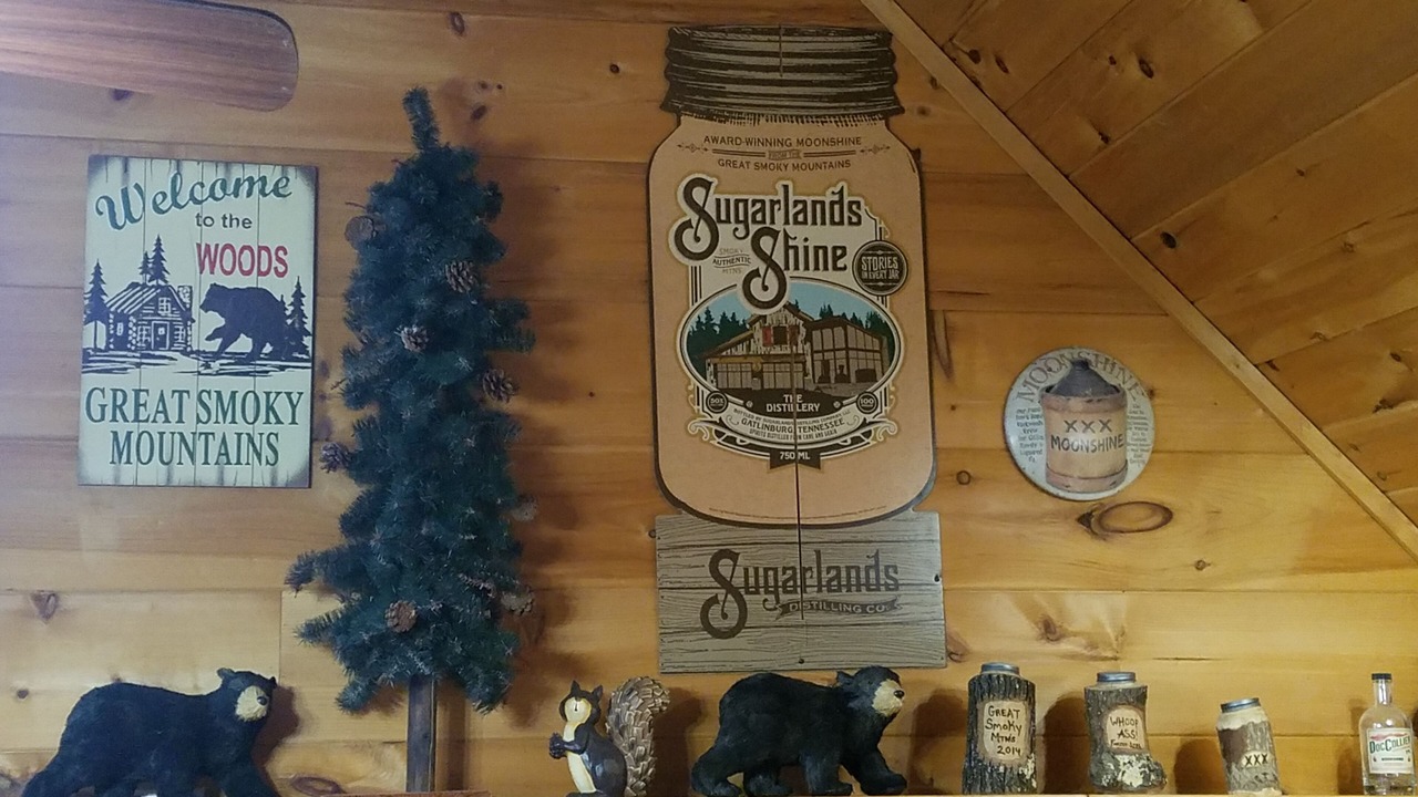 Photo of Others in Sevierville