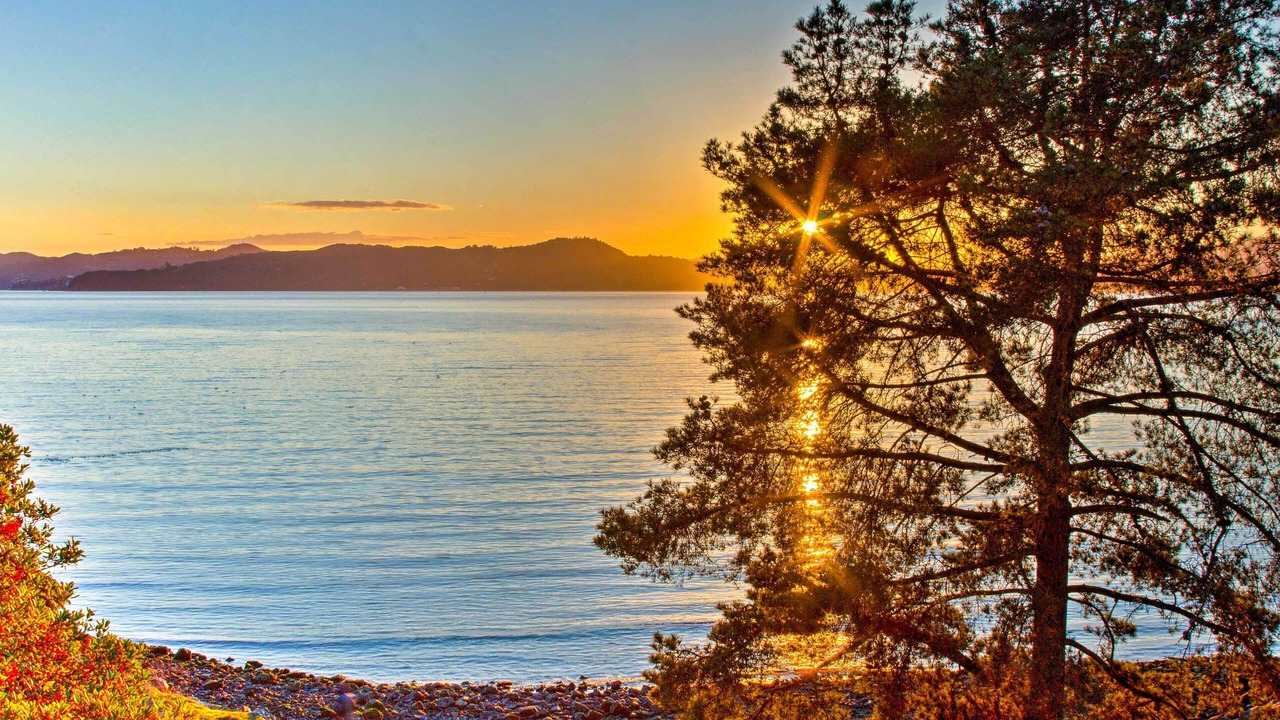 Photo of Outdoor in Point Richmond