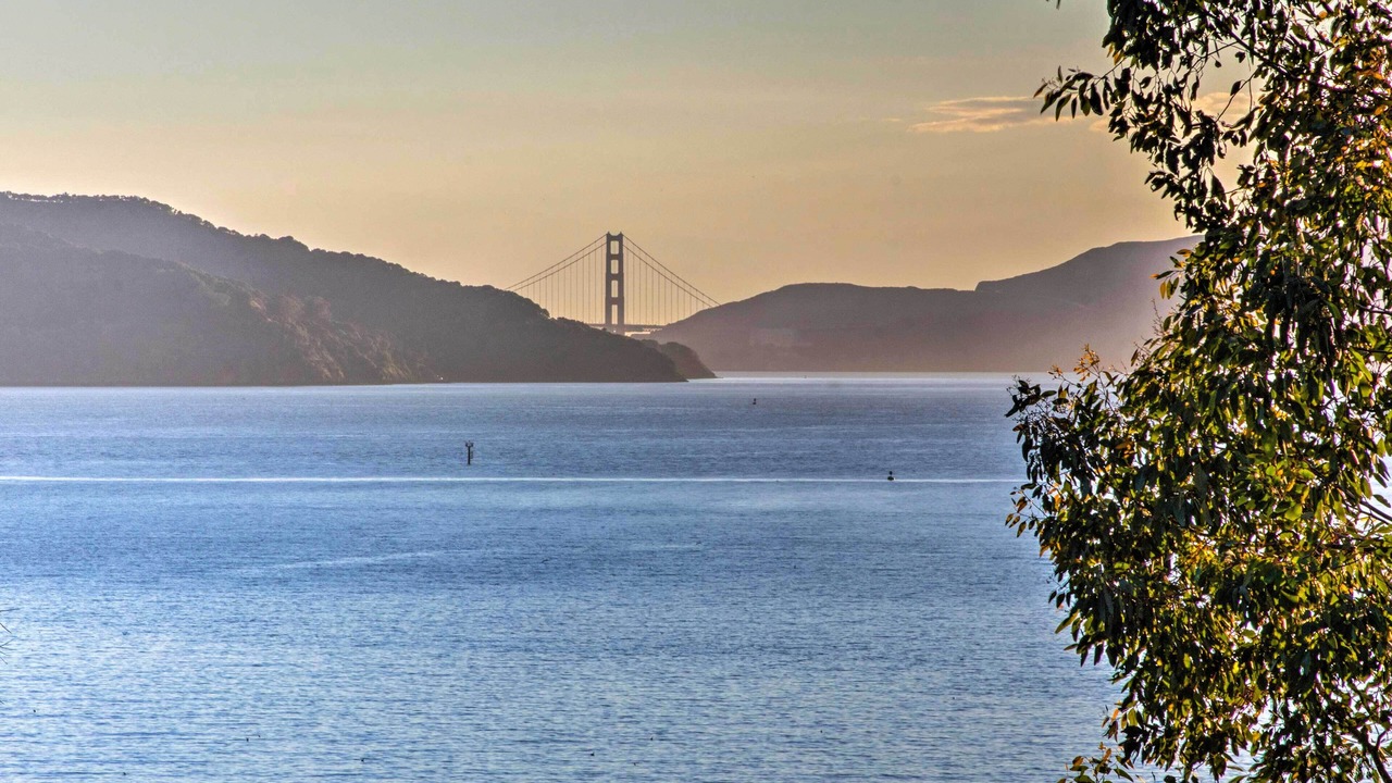 Photo of Others in Point Richmond