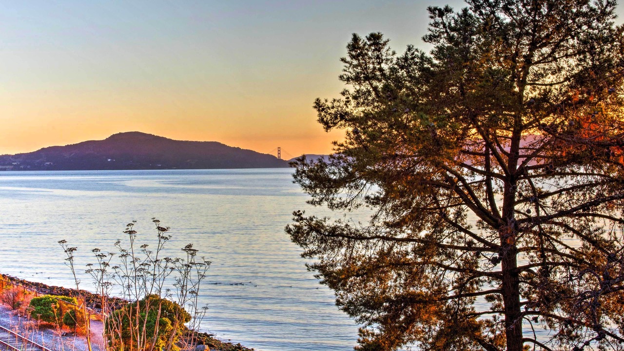 Photo of Others in Point Richmond