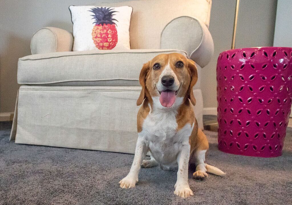 Photo of Others in Tybee Island