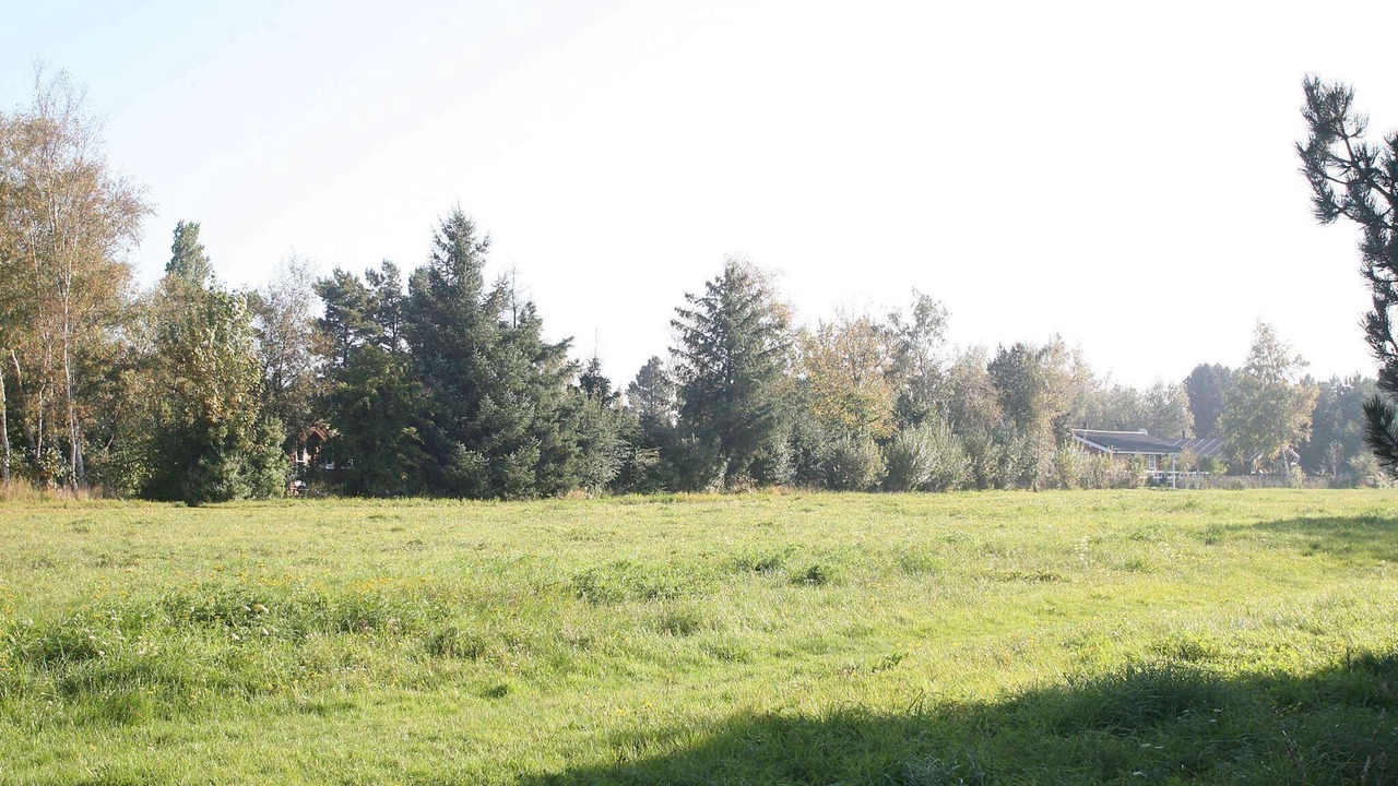 Photo of Others in Kramnitse
