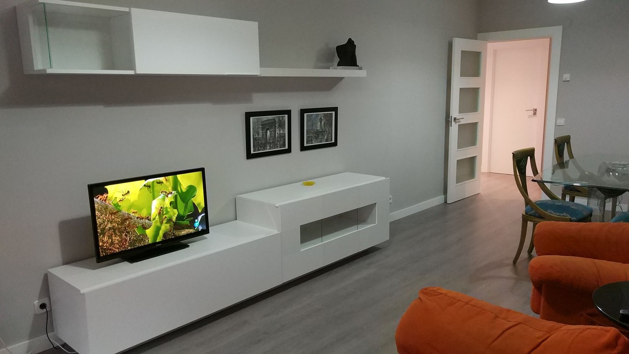 Photo of Livingroom in Logrono City Centre