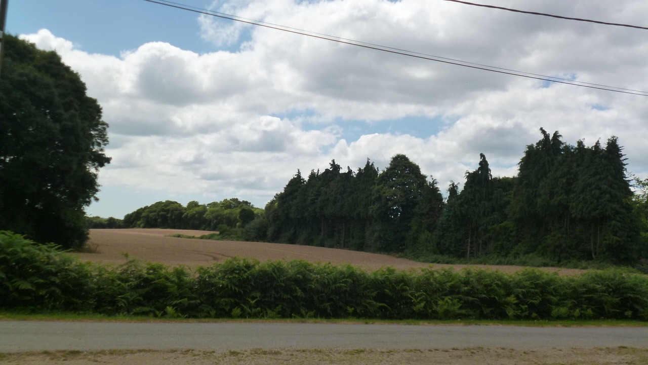 Photo of Outdoor in Bieuzy