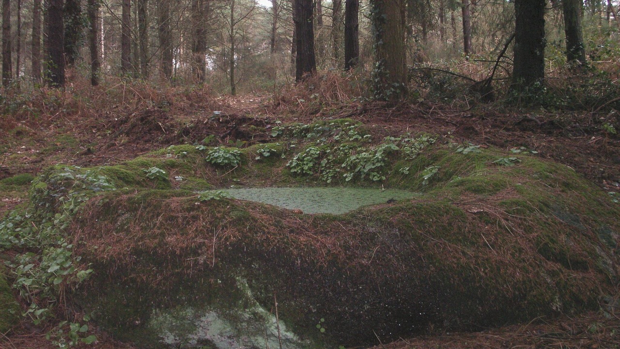 Photo of Outdoor in Bieuzy