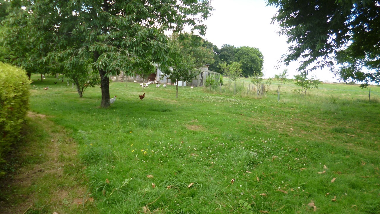 Photo of Outdoor in Bieuzy