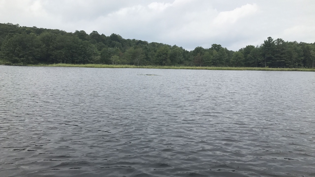 Photo of Outdoor in Orson