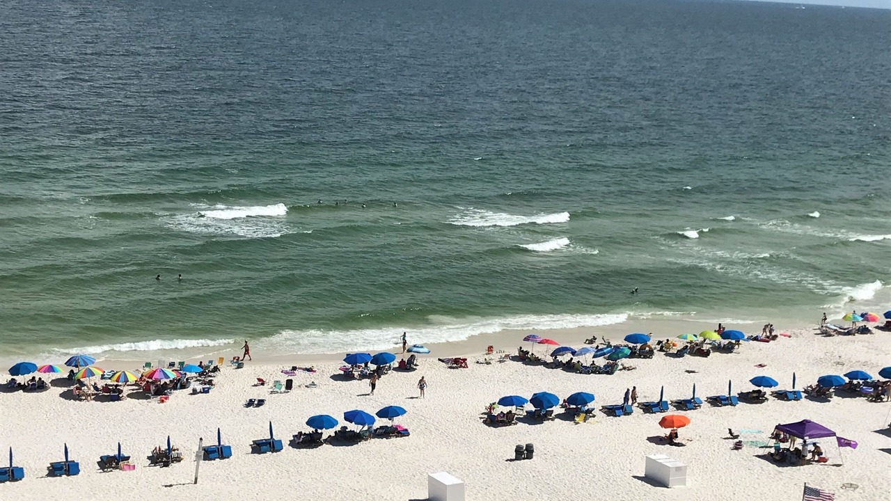 Photo of Others in Orange Beach East