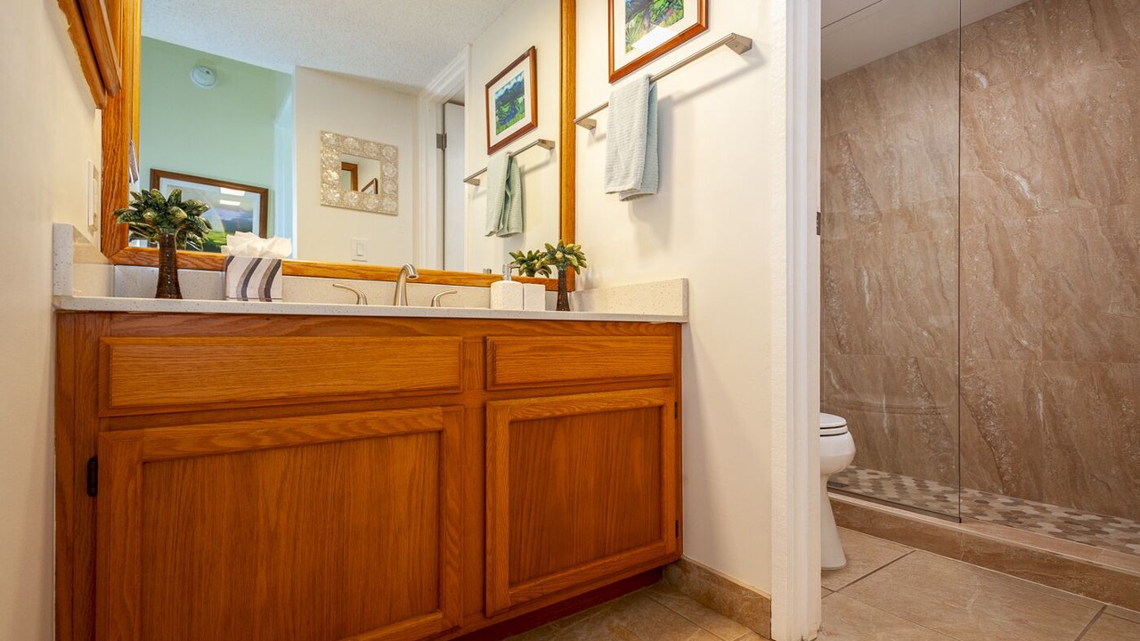 Photo of Bathroom in Princeville