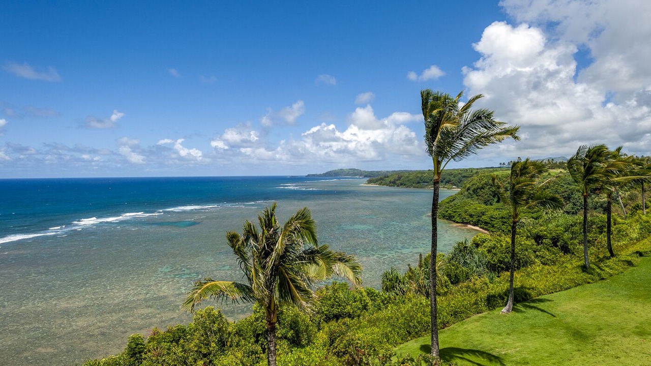 Photo of Outdoor in Princeville