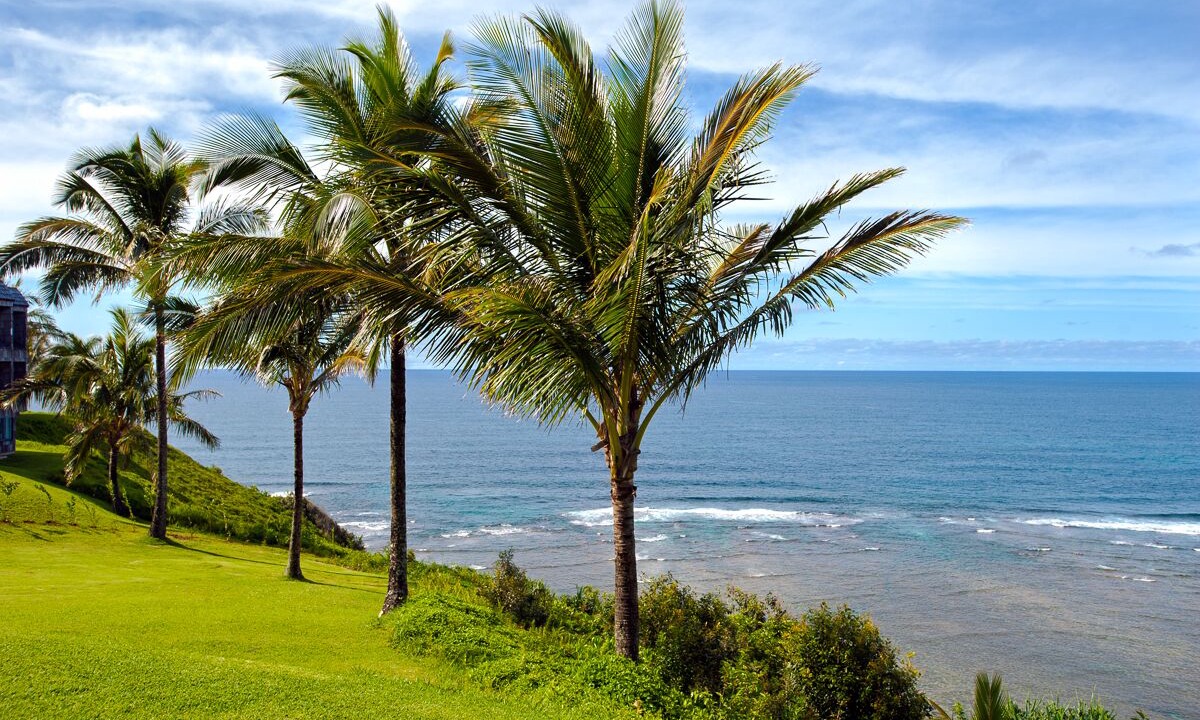 Photo of Others in Princeville