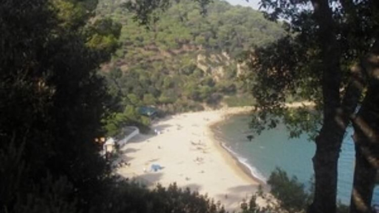 Photo of Others in Tossa de Mar