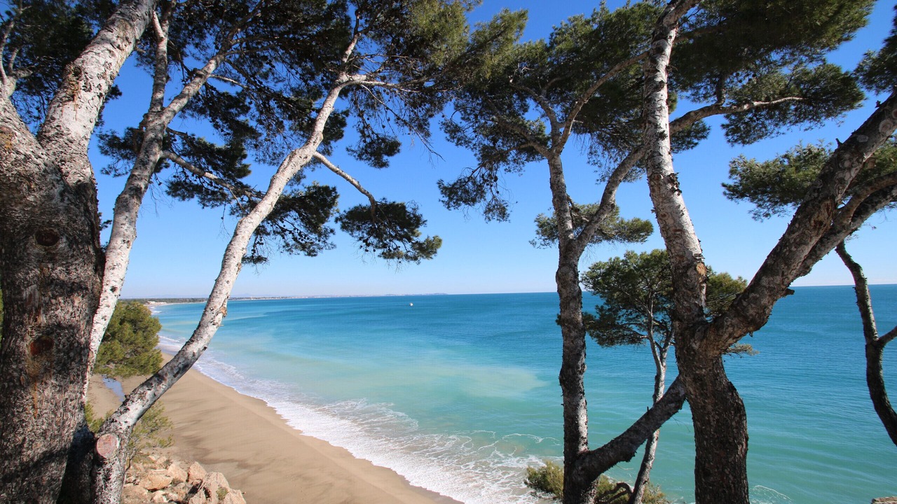 Photo of Others in Parc de Mont-roig