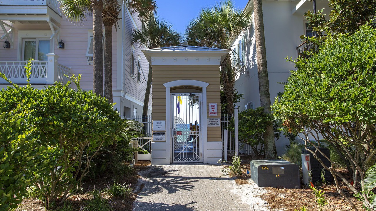 Photo of Others in Delos