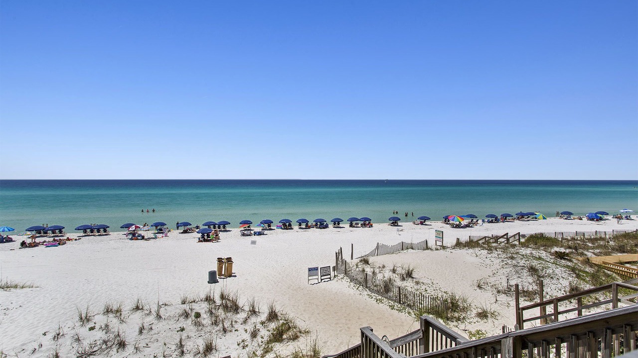 Photo of Others in Delos