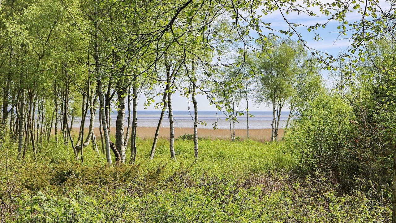 Photo of Others in Helberskov Strand