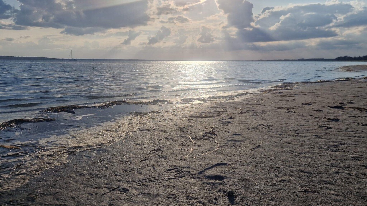 Photo of Others in Helberskov Strand