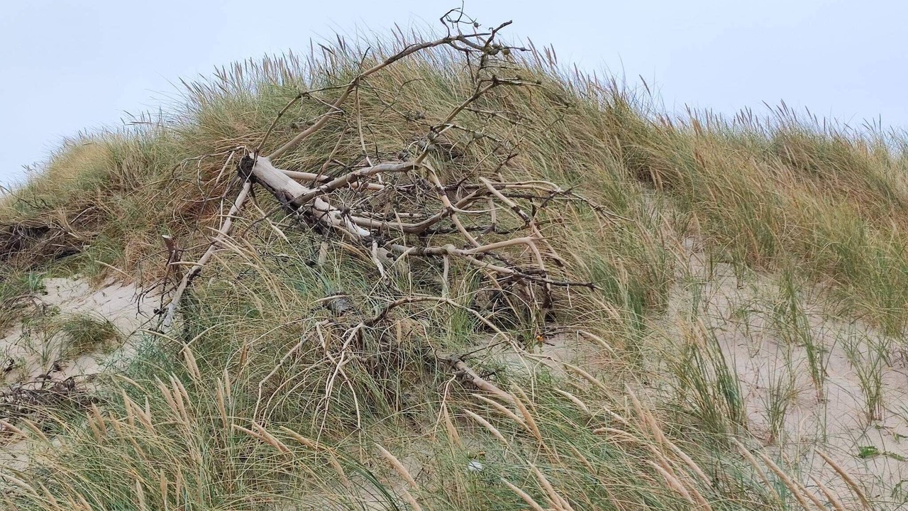 Photo of Others in Harboore