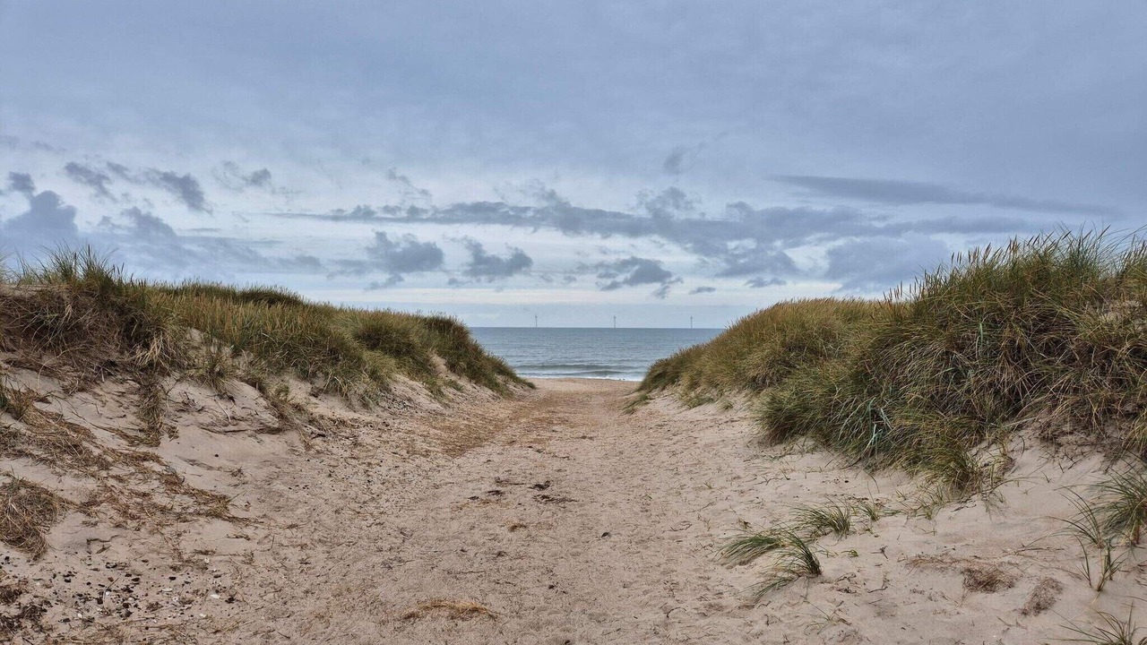 Photo of Others in Harboore