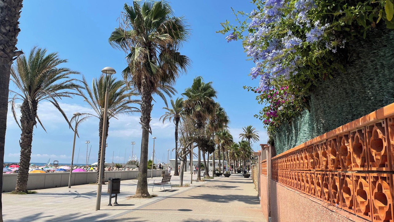 Photo of Others in Vilanova I la Geltru