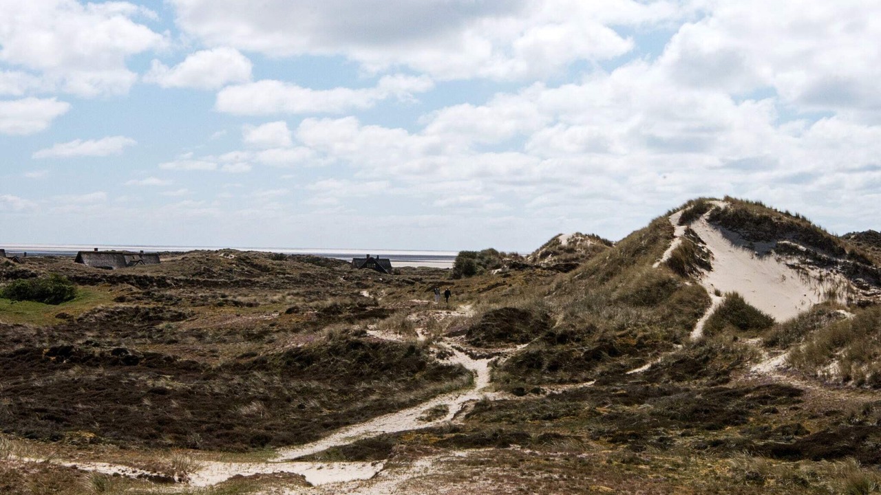 Photo of Others in Sønderho