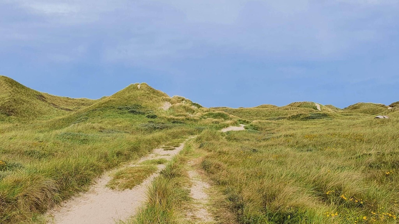 Photo of Others in Øby