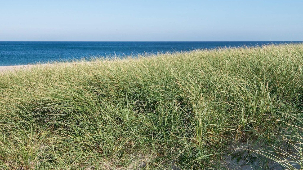 Photo of Others in Vrist Strand