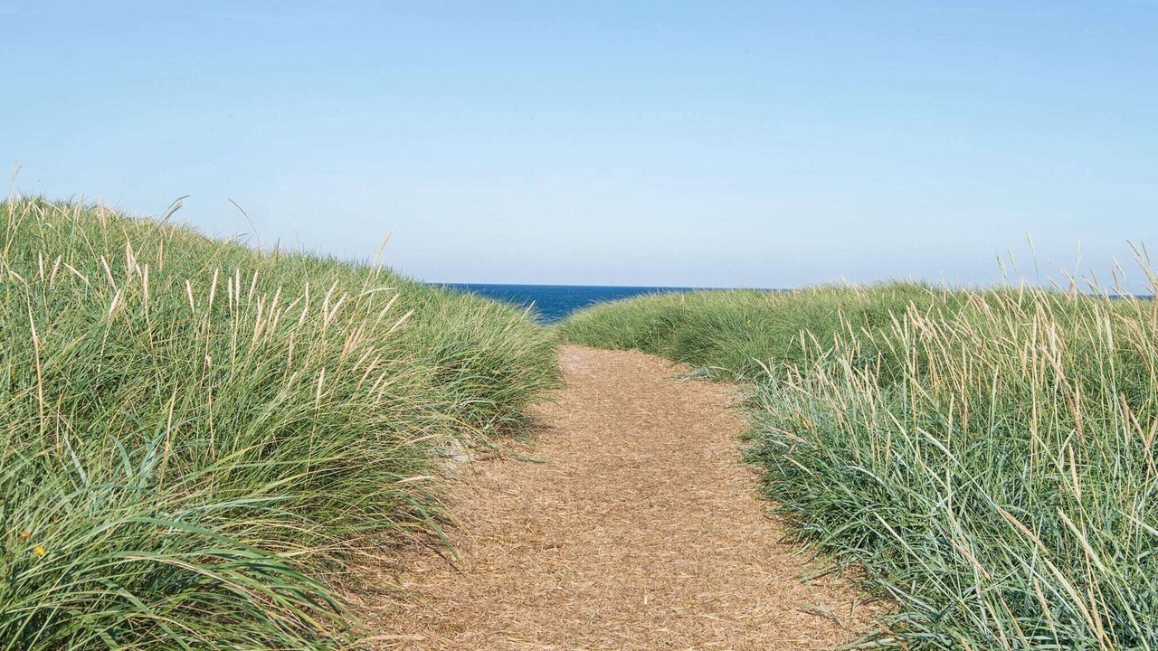 Photo of Others in Vrist Strand