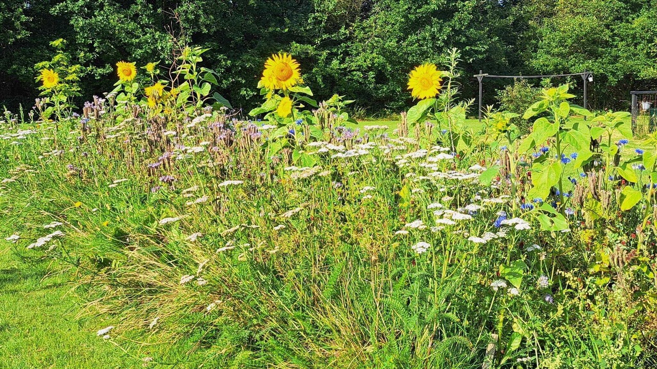 Photo of Outdoor in Hemmet