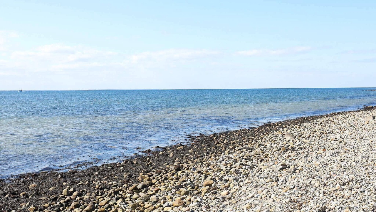 Photo of Others in Martofte