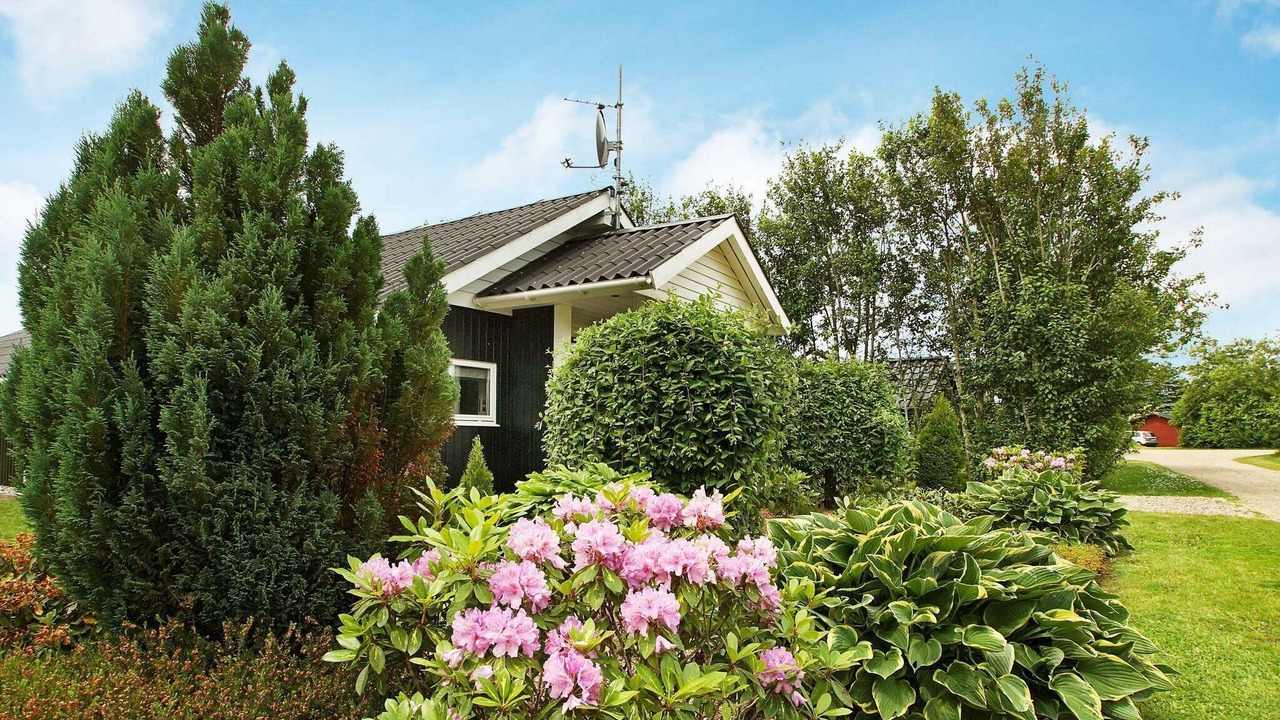 Photo of Outdoor in Skaven Strand
