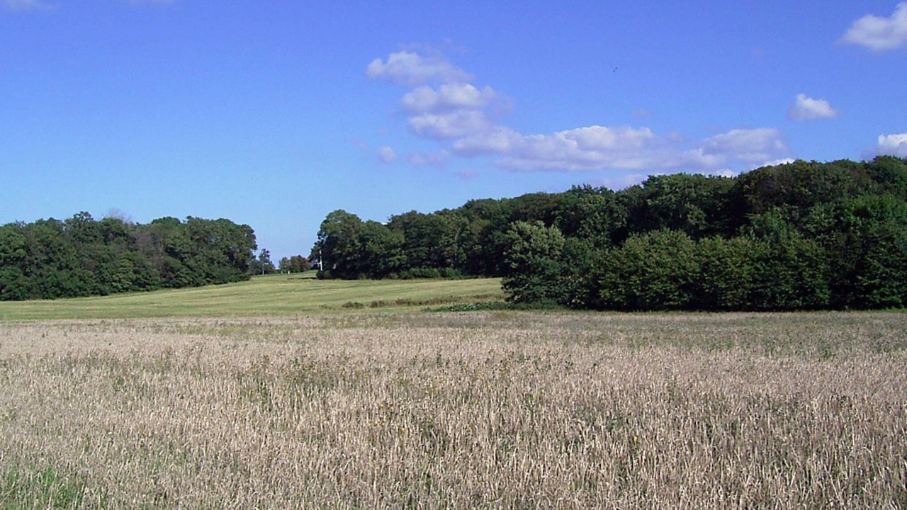 Photo of Others in Gudhjem