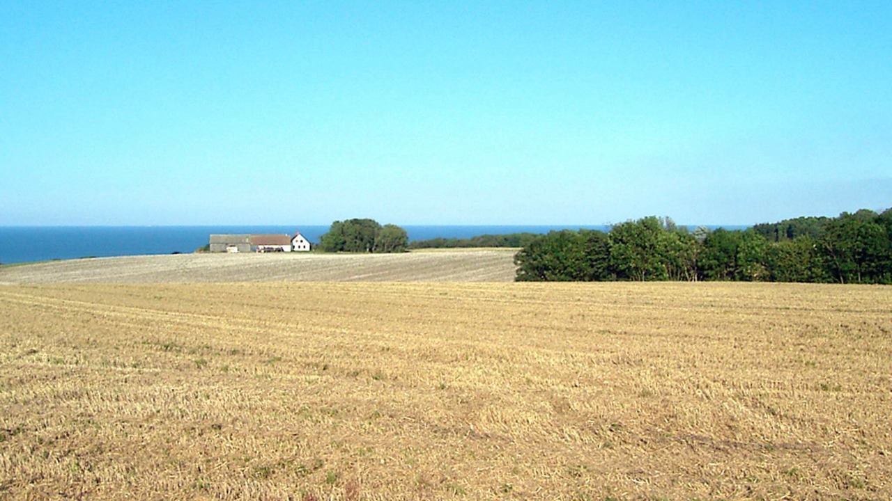 Photo of Others in Gudhjem