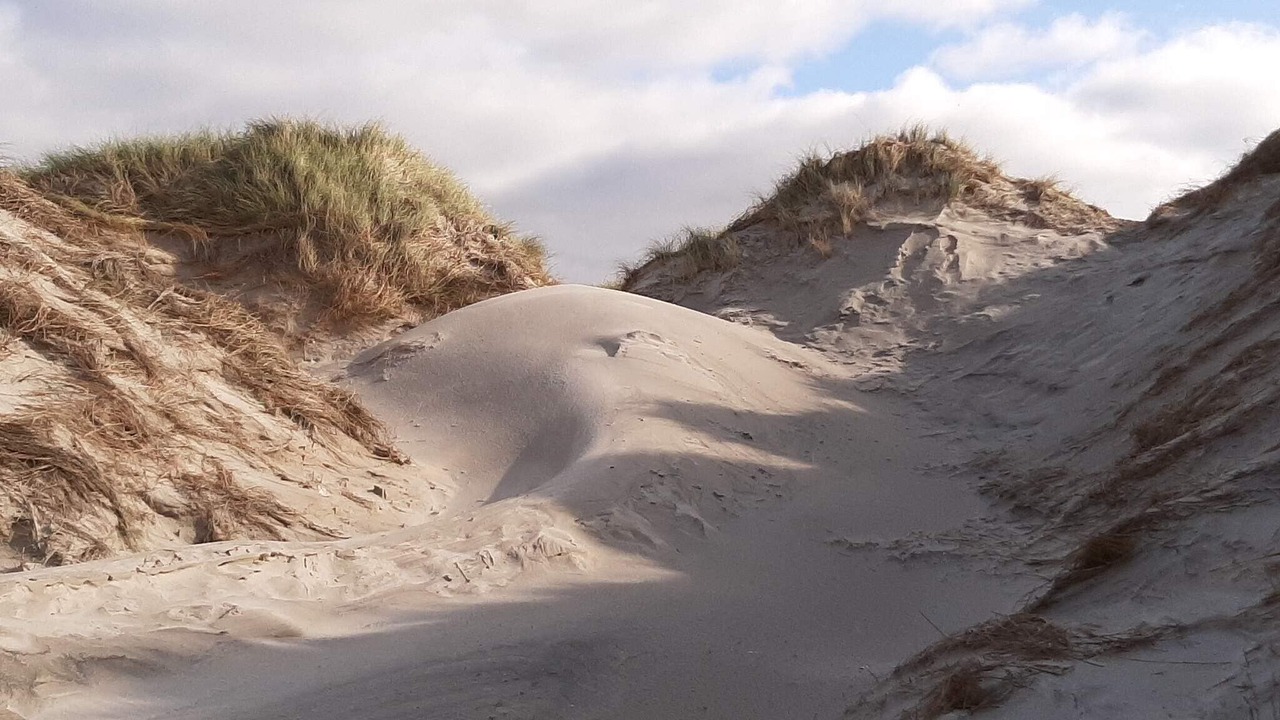 Photo of Others in Grærup Strand
