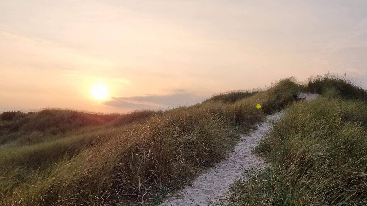 Photo of Others in Grærup Strand