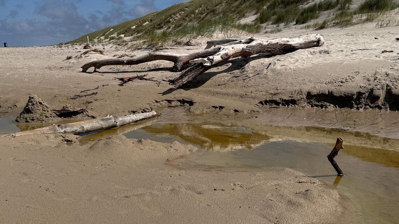 Photo of Others in Grærup Strand