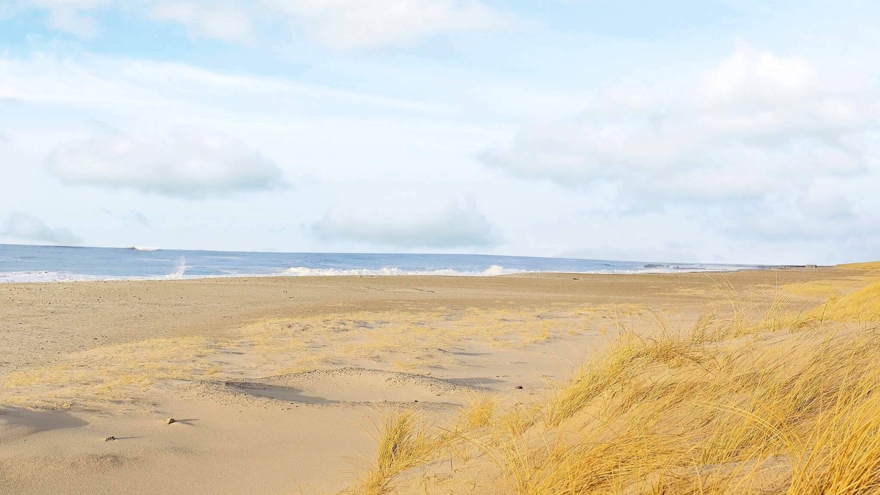 Photo of Others in Vrist Strand