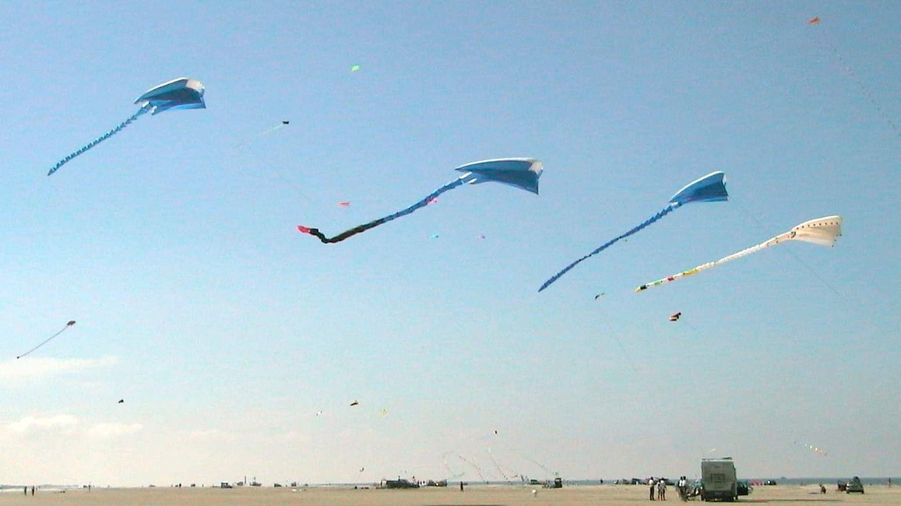 Photo of Others in Rindby Strand