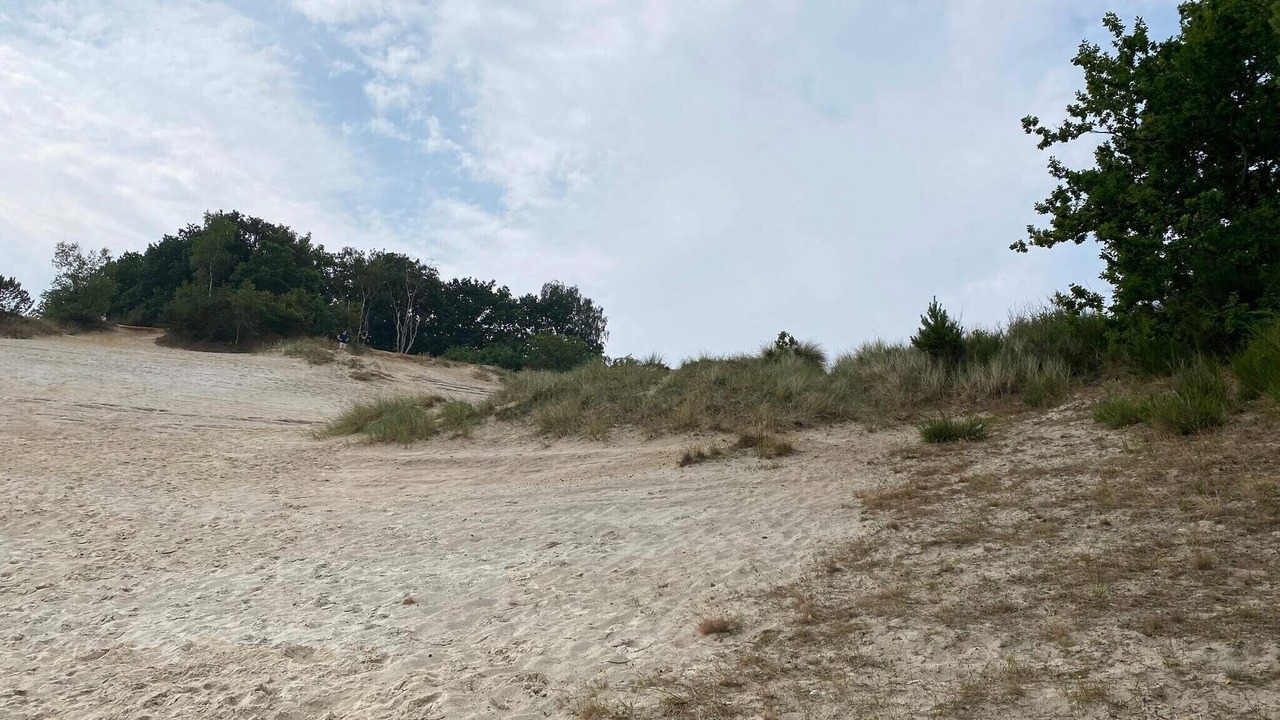 Photo of Others in Hvidbjerg Strand