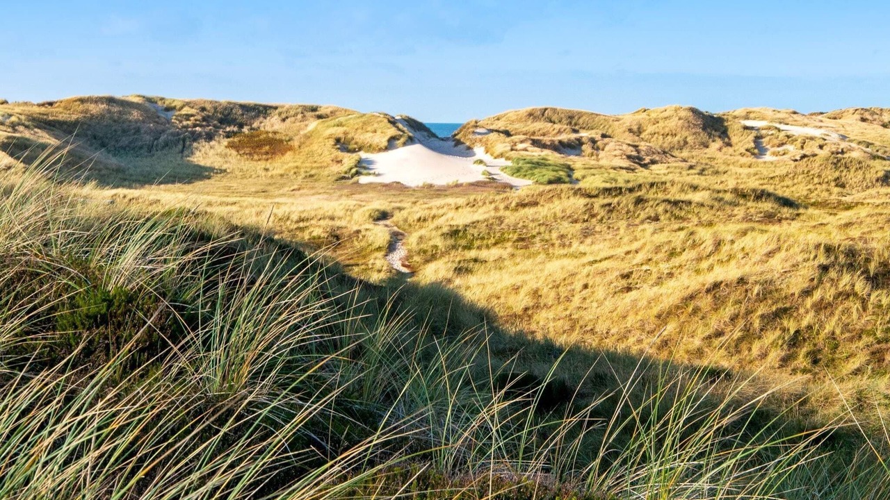 Photo of Others in Houvig Strand