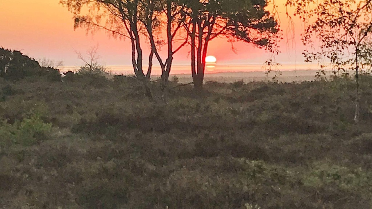 Photo of Outdoor in Helberskov Strand