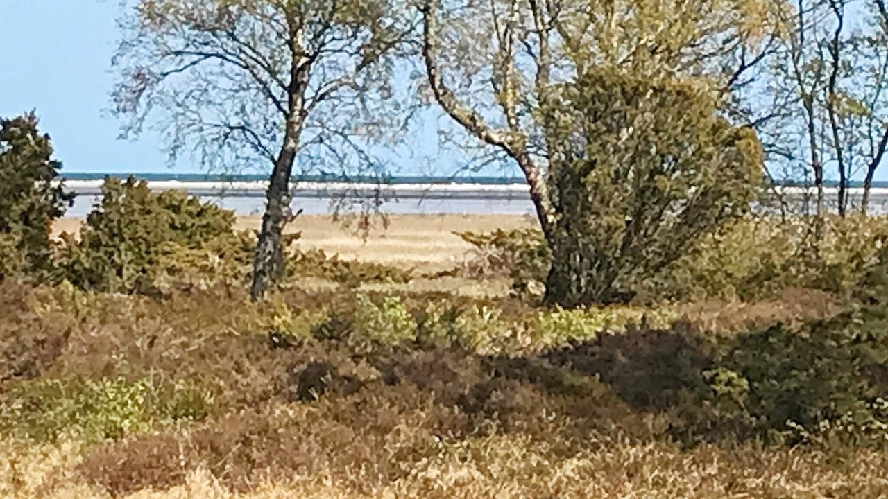 Photo of Outdoor in Helberskov Strand