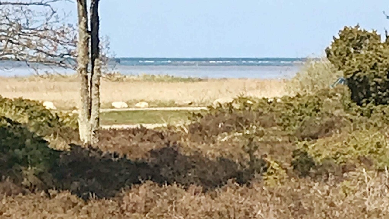 Photo of Outdoor in Helberskov Strand