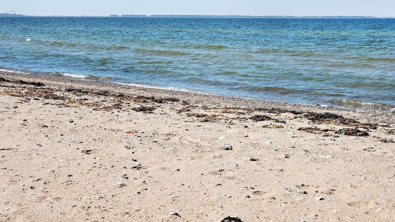 Photo of Others in Martofte