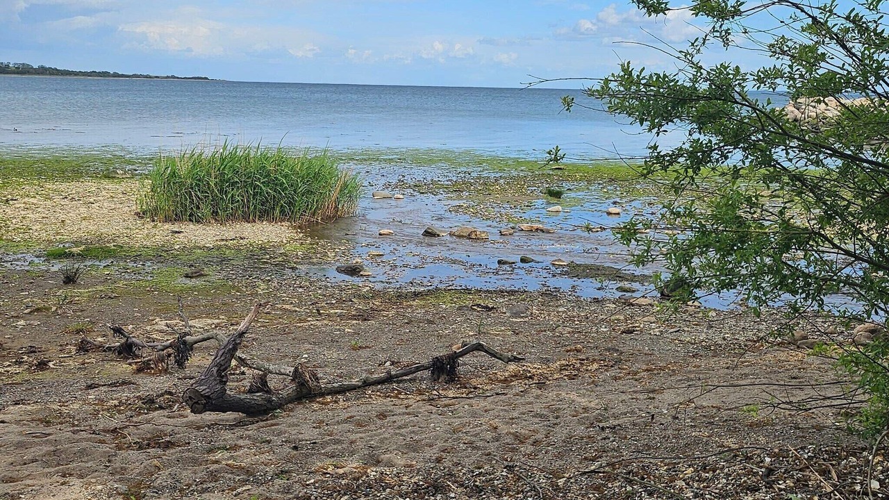 Photo of Others in Aabenraa