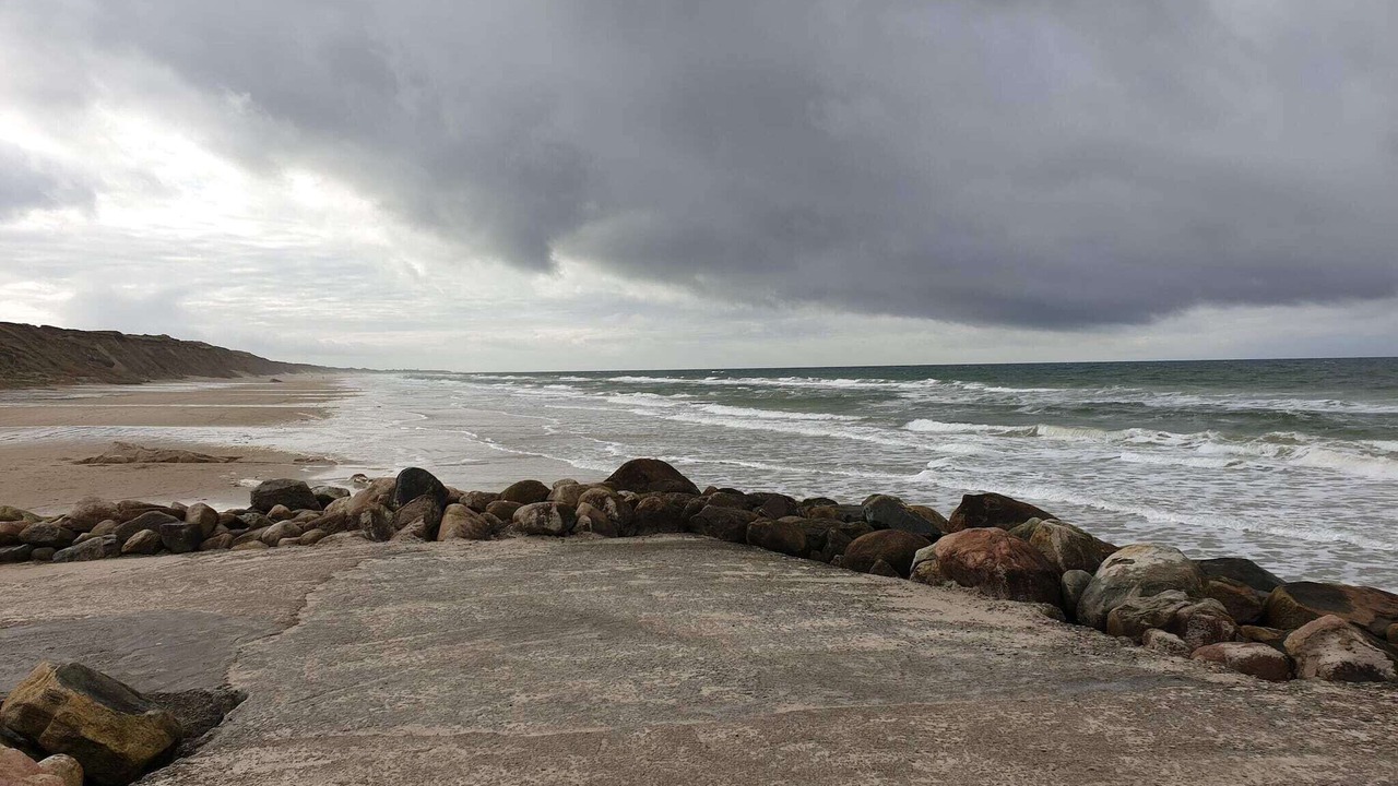 Photo of Others in Nørre Lyngby