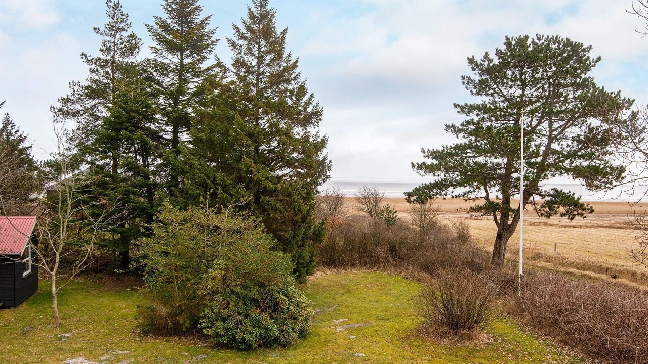 Photo of Others in Kongsmark
