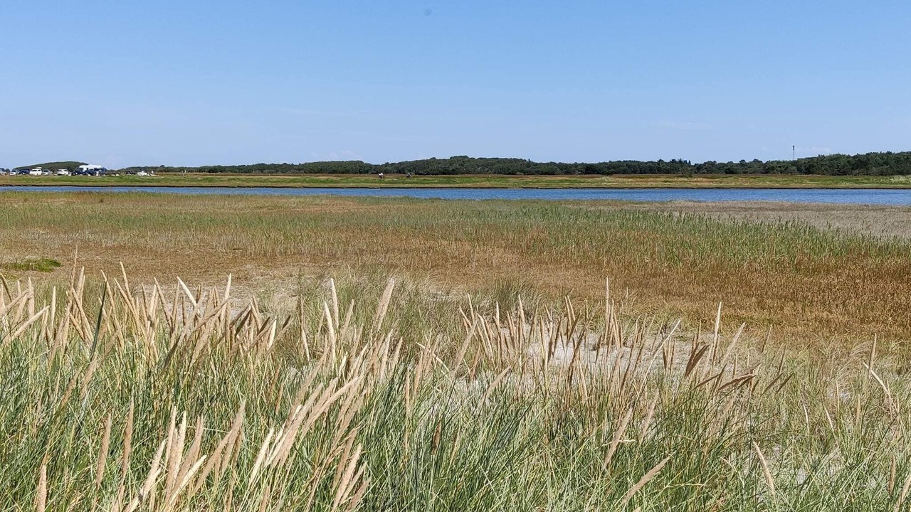 Photo of Others in Læsø