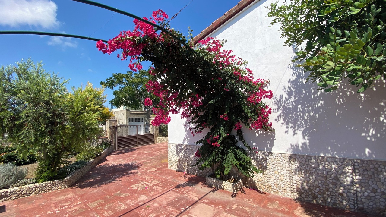 Photo of Outdoor in Vilanova I la Geltru