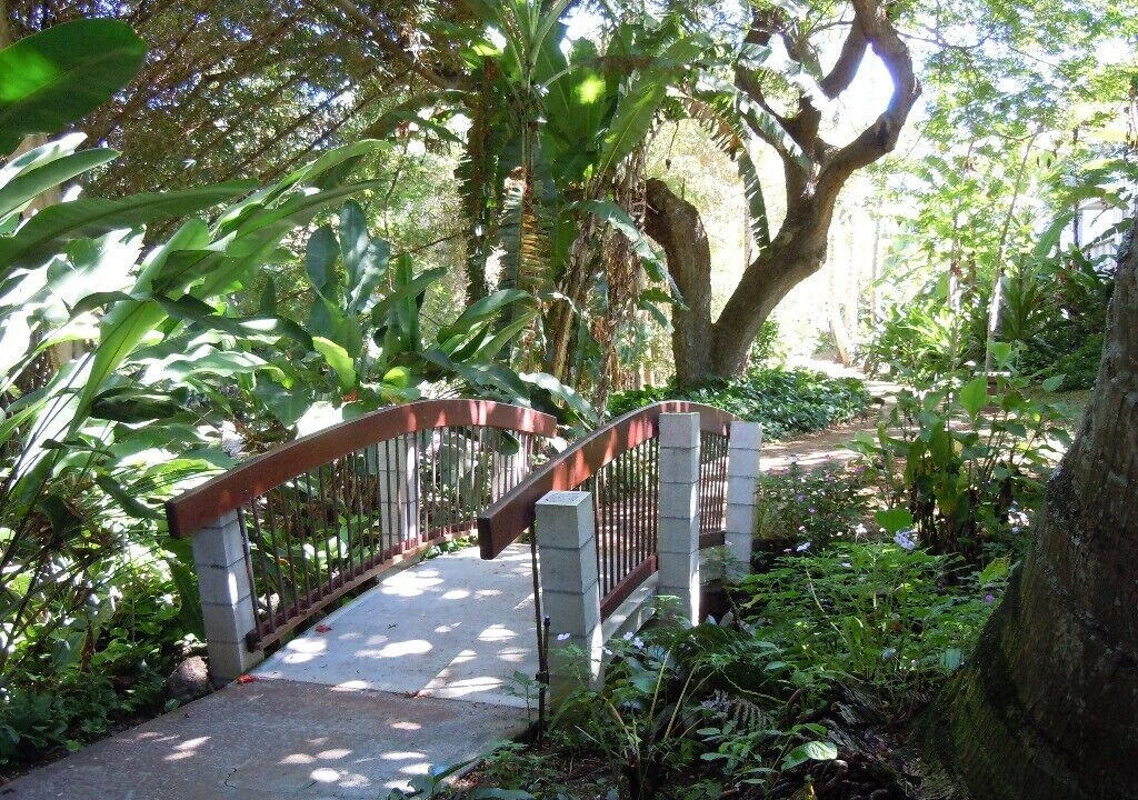 Photo of Outdoor in Poipu